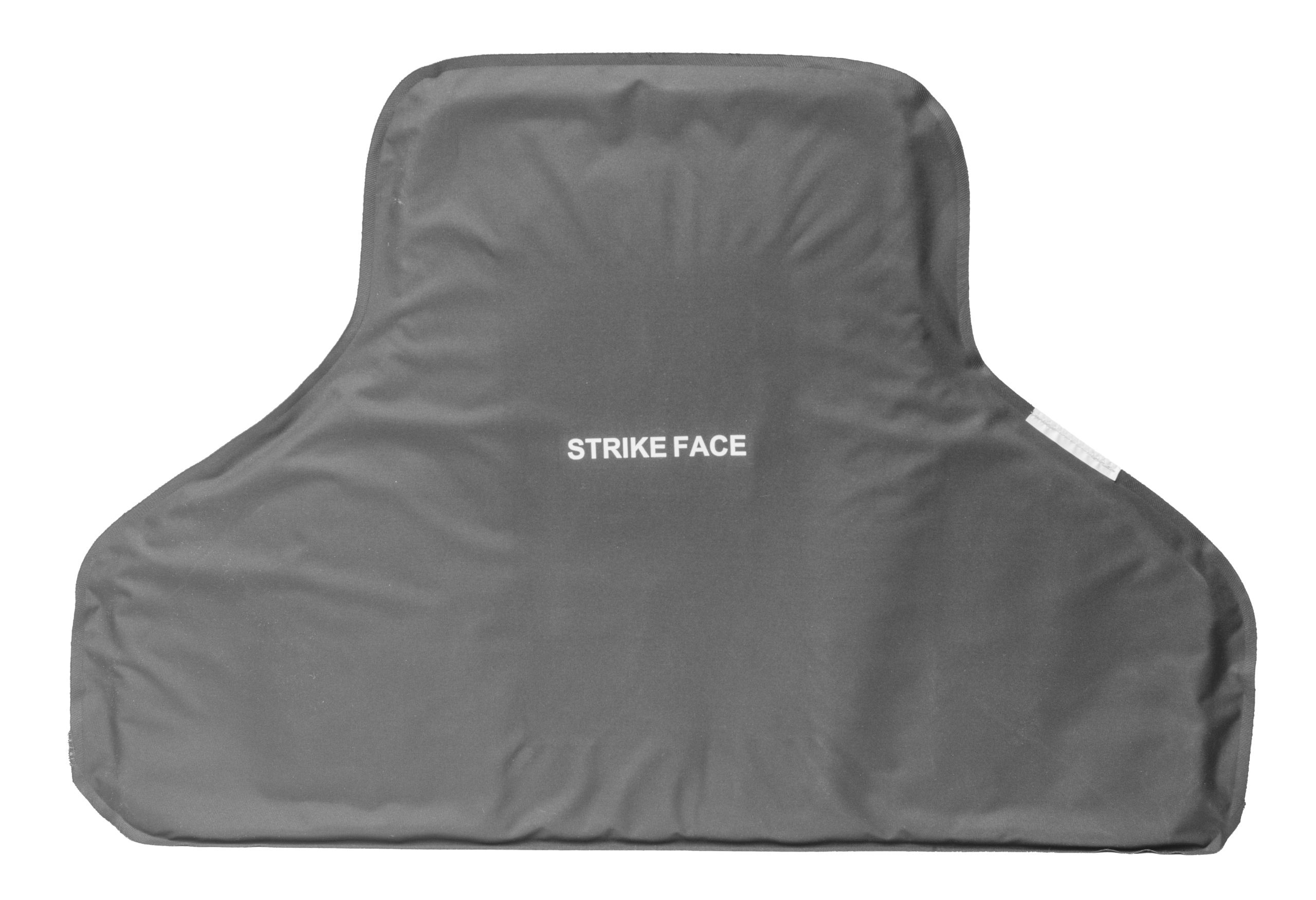 Ballistic Vest, Pro Vest